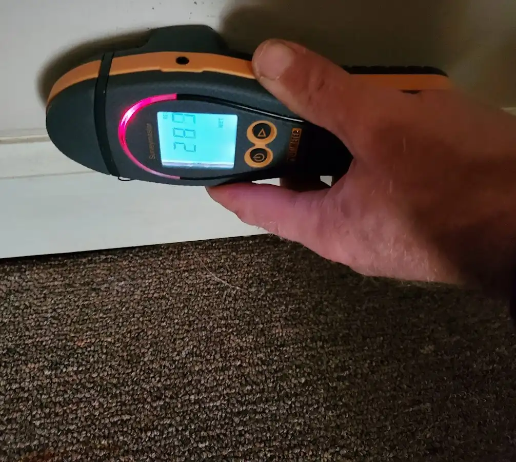 Moisture detection at baseboard during Sewage Cleanup & Sanitation in Green